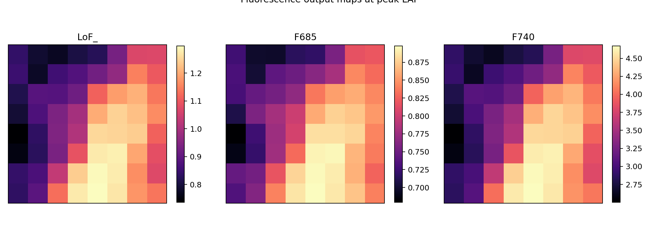 Fluorescence snapshot maps